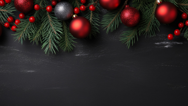 0167 – Hatfield Xmas Brochure 2023.pdf (1640 x 924 px) 0167 – Hatfield Xmas Brochure 2023.pdf (1640 x 924 px) alt